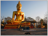 Pattaya - Wat Khao Phra Yai Temple